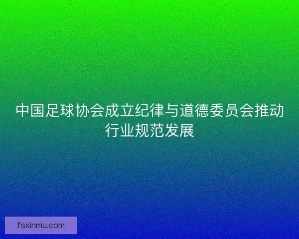 中国足球协会成立纪律与道德委员会推动行业规范发展